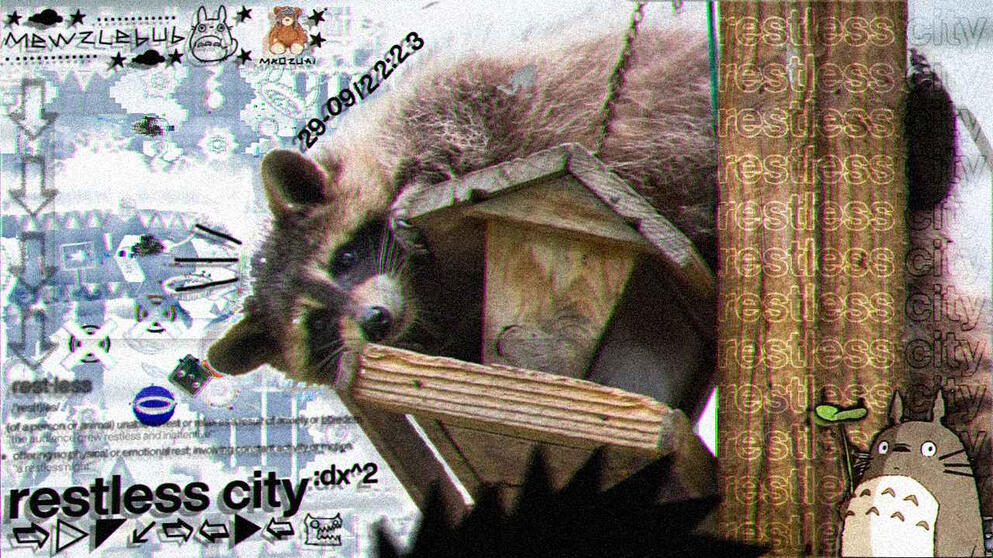restless city